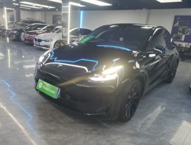 Tesla Model Y 2022 car image 