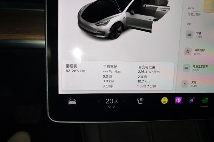 Tesla Model 3 2021 #12 Tesla Model 3 2021 immagine di auto #12