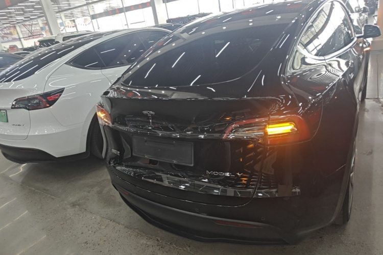 Tesla Model Y 2021 #6 Tesla Model Y 2021 car image #6