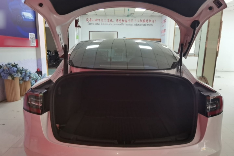 Tesla Model 3 2022 #19 Tesla Model 3 2022 immagine di auto #19