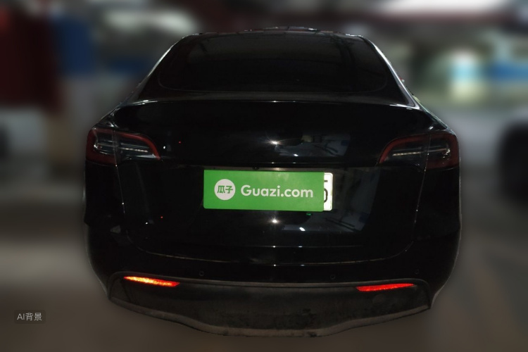 Tesla Model Y 2023 car image #6