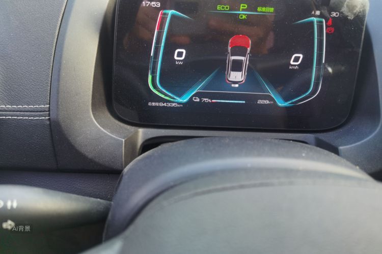 BYD Yuan New Energy 2020 car image #14