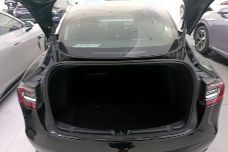 Tesla Model 3 2021 #19 Tesla Model 3 2021 car image #19