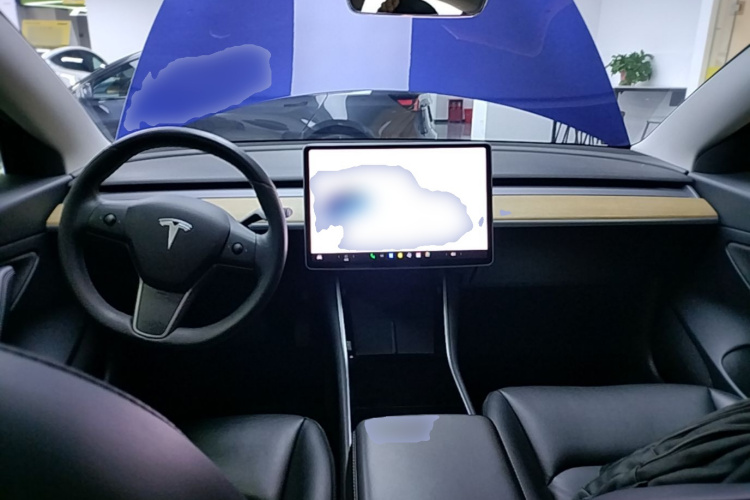 Tesla Model 3 2020 car image #10