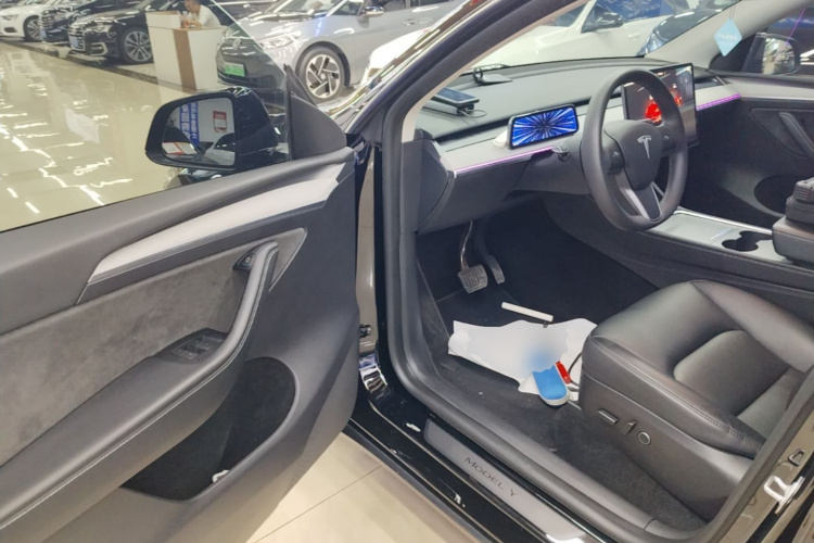 Tesla Model Y 2023 car image #16