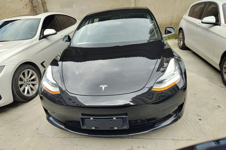 Tesla Model 3 2020 immagine di auto #3