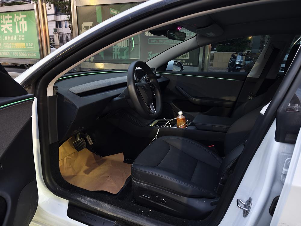 Tesla Model 3 2025 immagine di auto #8