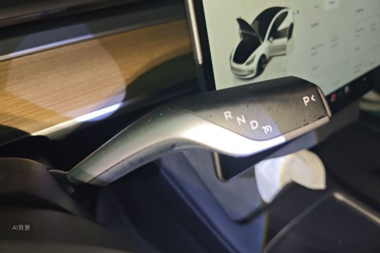 Tesla Model 3 2023 car image #16
