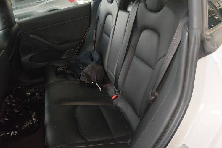Tesla Model 3 2021 #19 Tesla Model 3 2021 car image #19