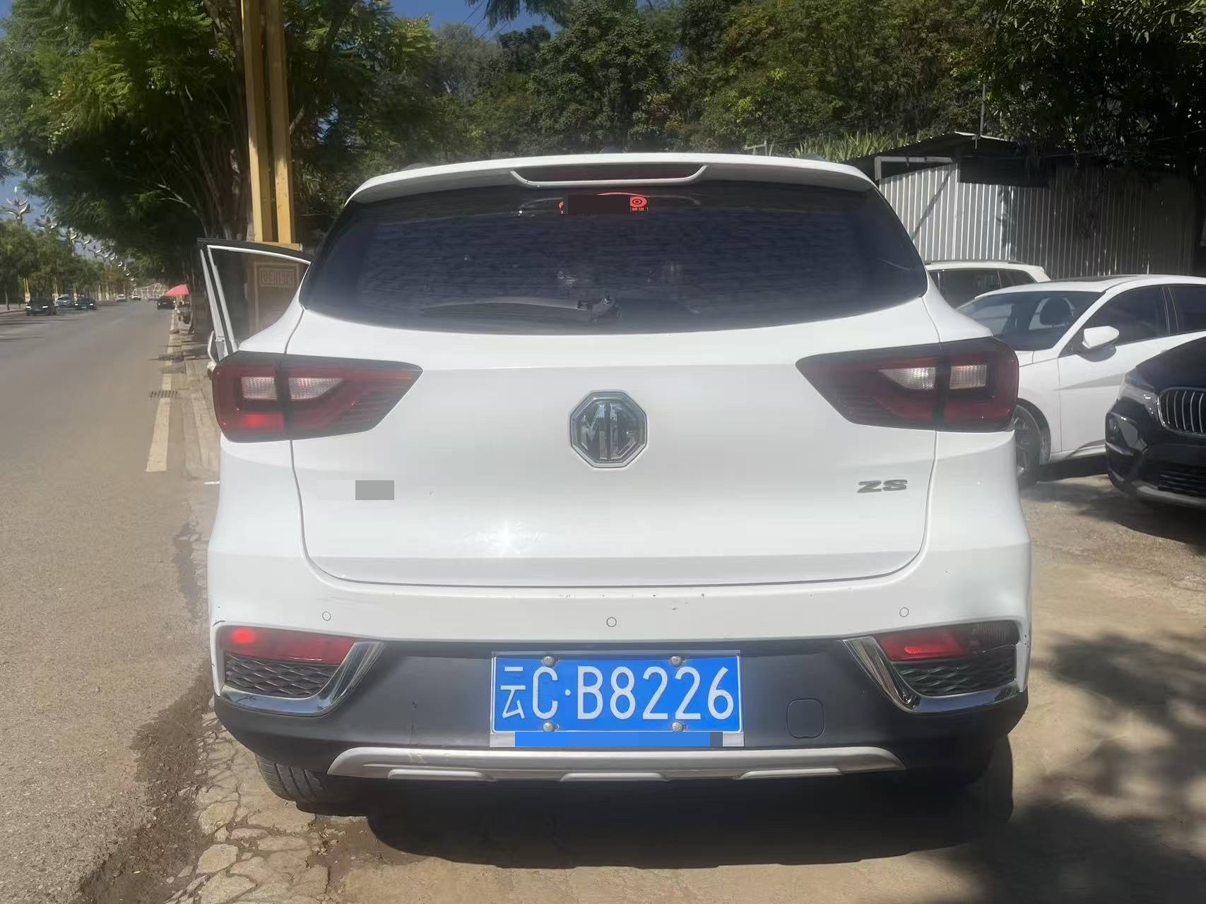 MG ZS 2019 immagine di auto #4
