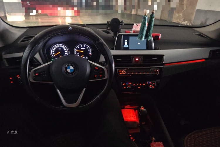BMW X1 2019 car image #11