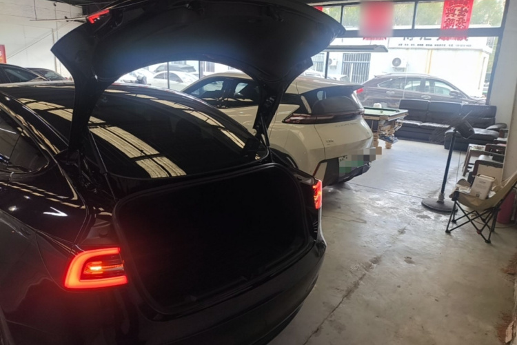 Tesla Model 3 2020 car image #19