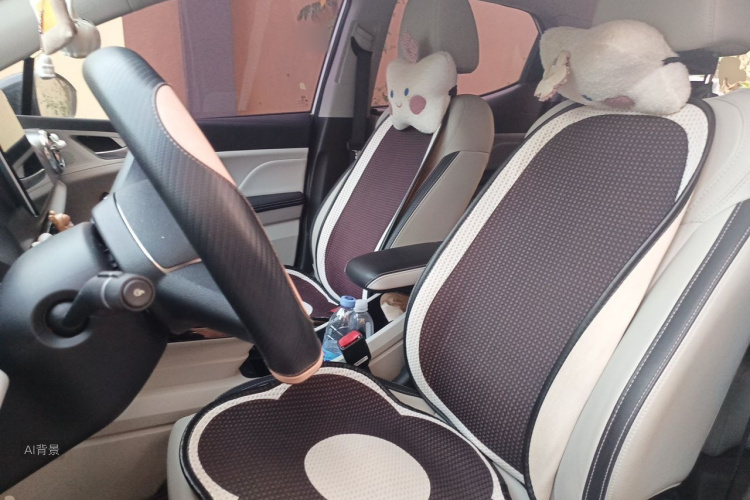 BYD Yuan Pro 2022 car image #17