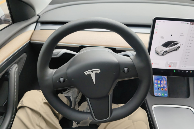 Tesla Model Y 2021 car image #11