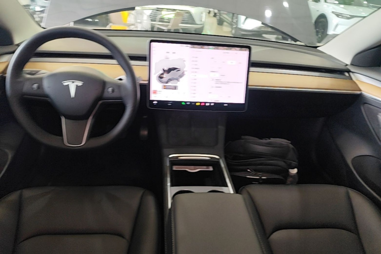 Tesla Model 3 2021 #11 Tesla Model 3 2021 car image #11