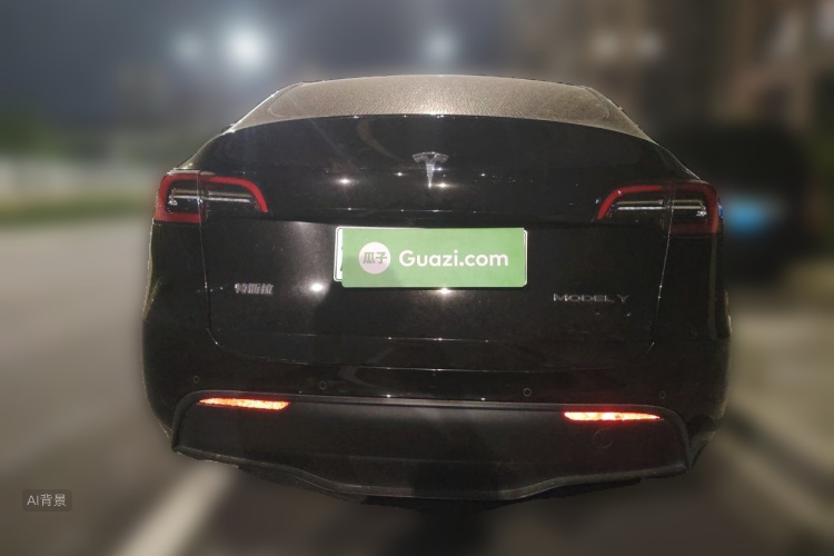 Tesla Model Y 2021 car image #6