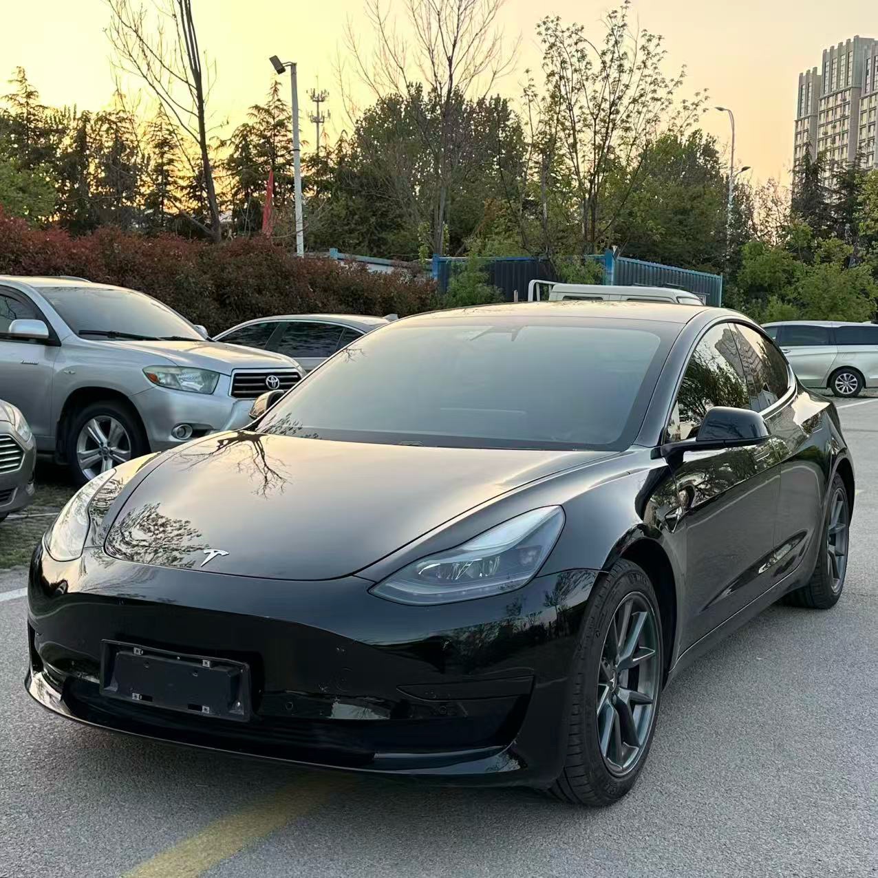 Tesla Model 3 2021 Tesla Model 3 2021 car image