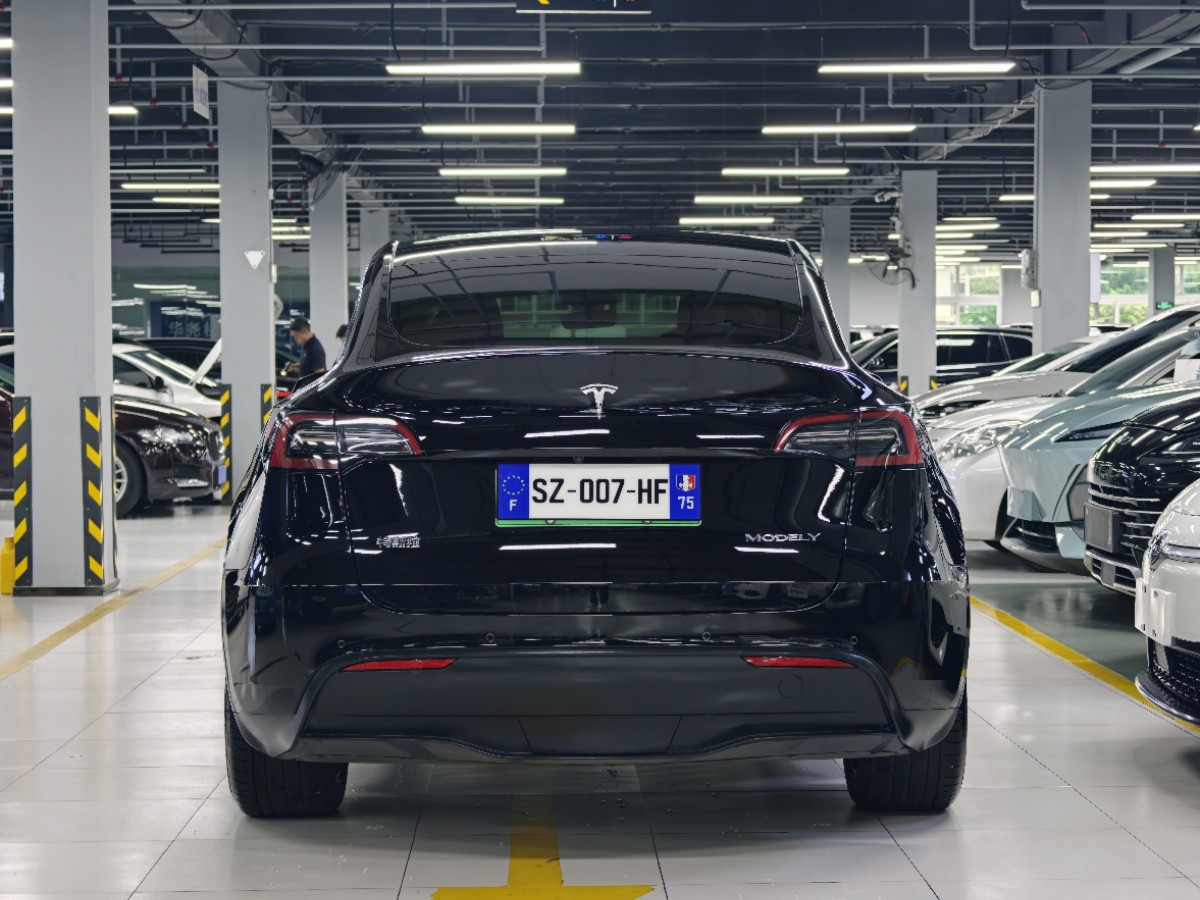 Tesla Model Y 2021 car image #8