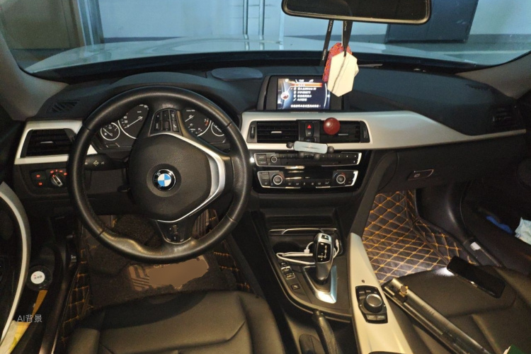 BMW 3 Series GT 2016 car image #11