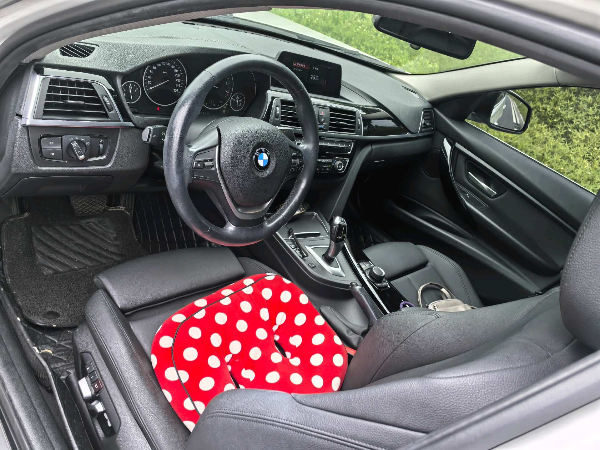 BMW 3 Series 2018 car image #6