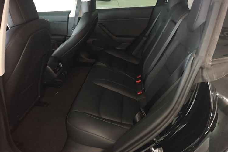 Tesla Model 3 2021 #17 Tesla Model 3 2021 car image #17