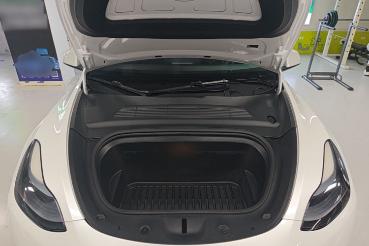 Tesla Model Y 2024 car image #19