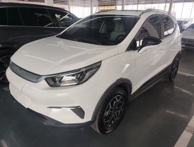 BYD Yuan Pro 2021 car image 