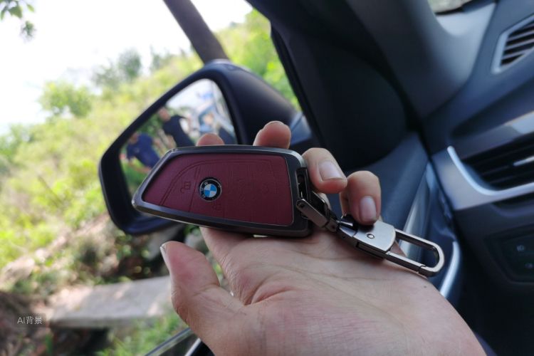 BMW X1 2019 car image #10
