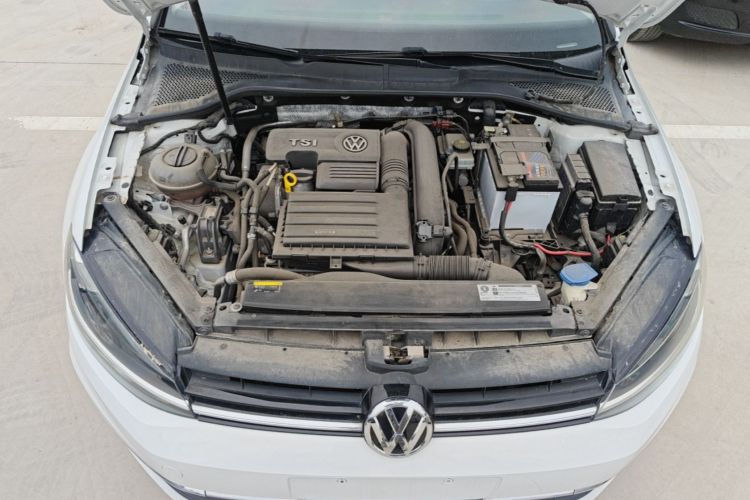 Volkswagen Golf 2019 #22 Volkswagen Golf 2019 car image #22