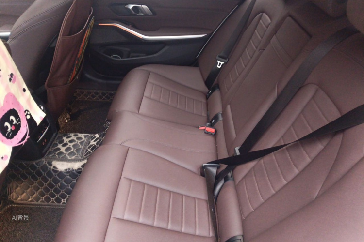 BMW 3 Series 2019 car image #19
