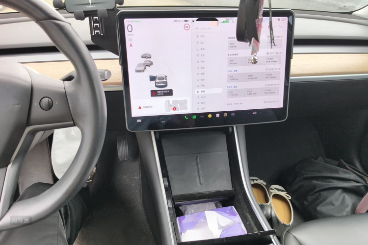 Tesla Model 3 2020 car image #15