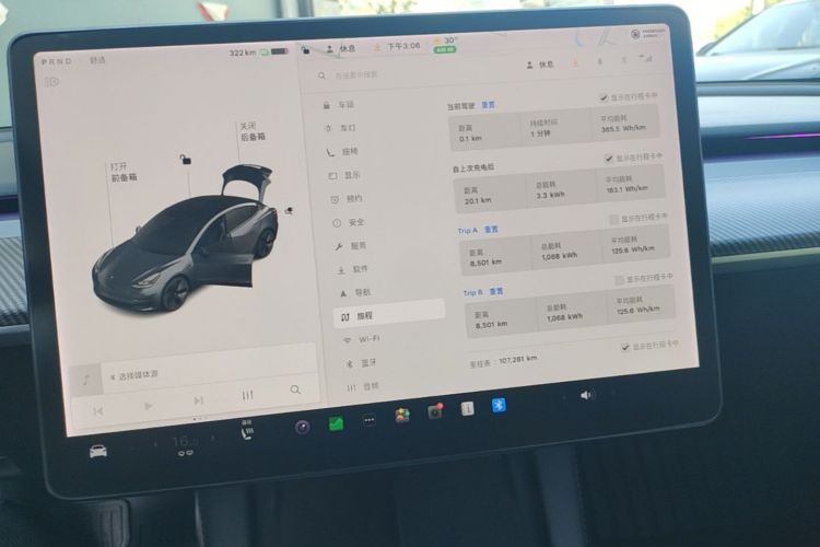 Tesla Model 3 2021 #13 Tesla Model 3 2021 car image #13