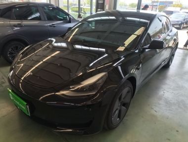 Tesla Model 3 2021 Tesla Model 3 2021 immagine di auto