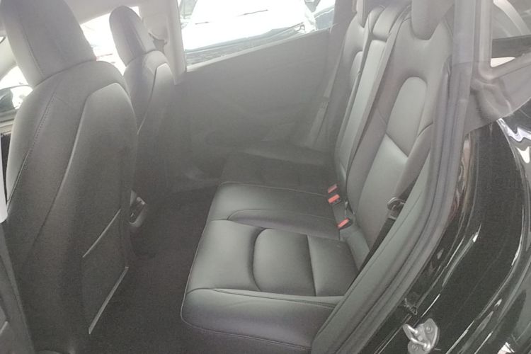 Tesla Model 3 2021 #17 Tesla Model 3 2021 car image #17