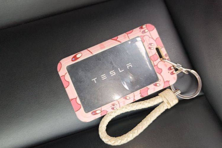 Tesla Model 3 2021 car image #9