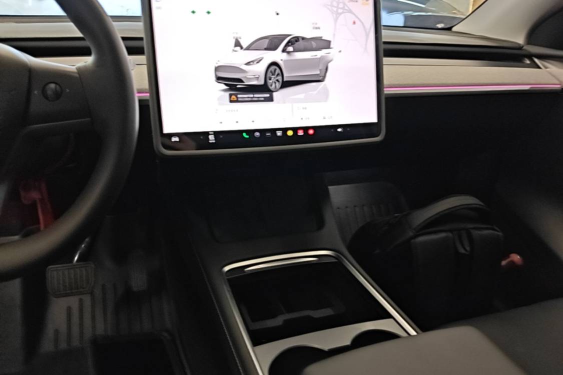 Tesla Model Y 2024 car image #14