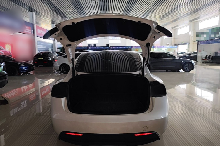 Tesla Model 3 2024 #19 Tesla Model 3 2024 car image #19