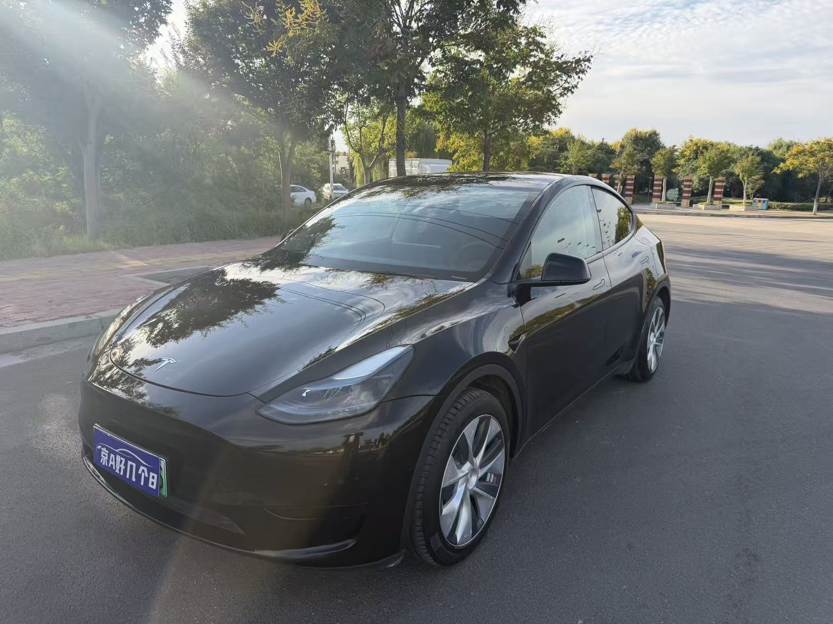 Tesla Model Y 2023 Tesla Model Y 2023 car image