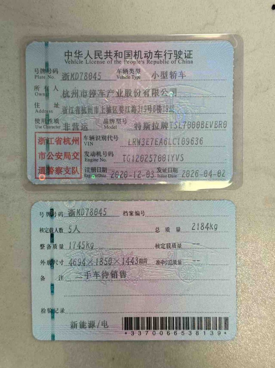 Tesla Model 3 2020 car image #9