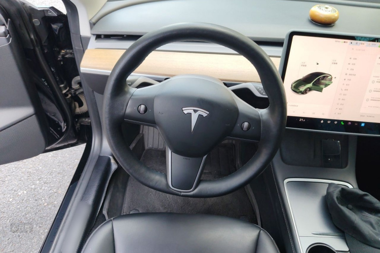 Tesla Model 3 2021 #12 Tesla Model 3 2021 car image #12