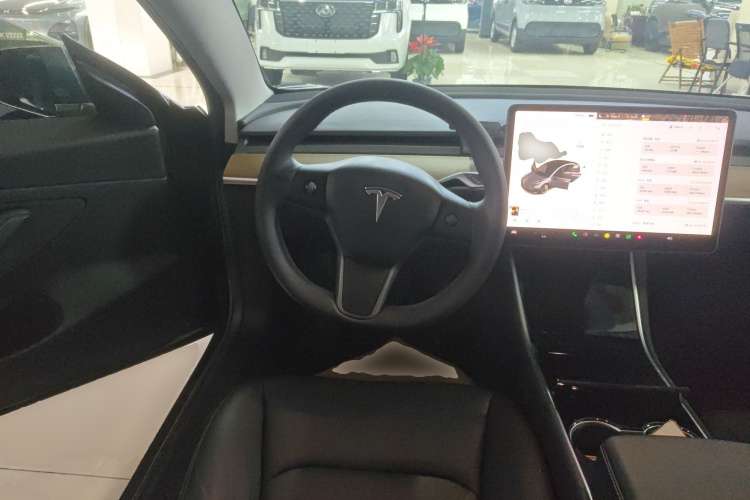 Tesla Model 3 2020 car image #11