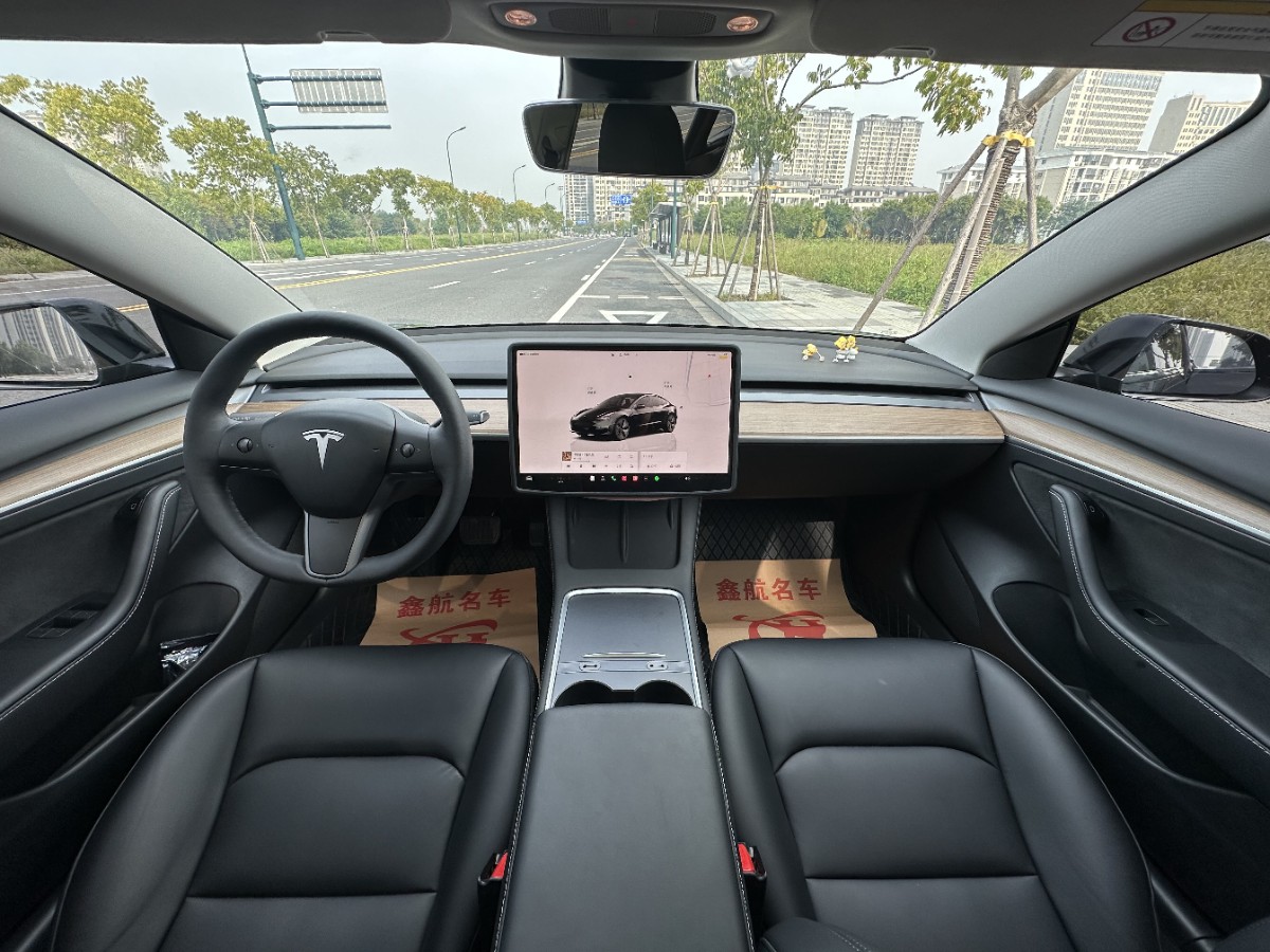 Tesla Model 3 2023 car image #8