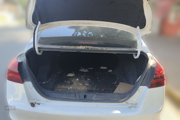 2020 #21 2020 car image #21