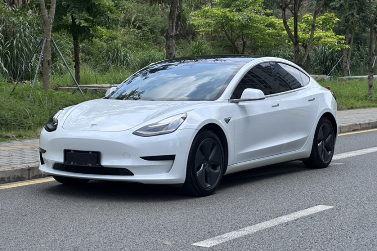 Tesla Model 3 2020 car image #2