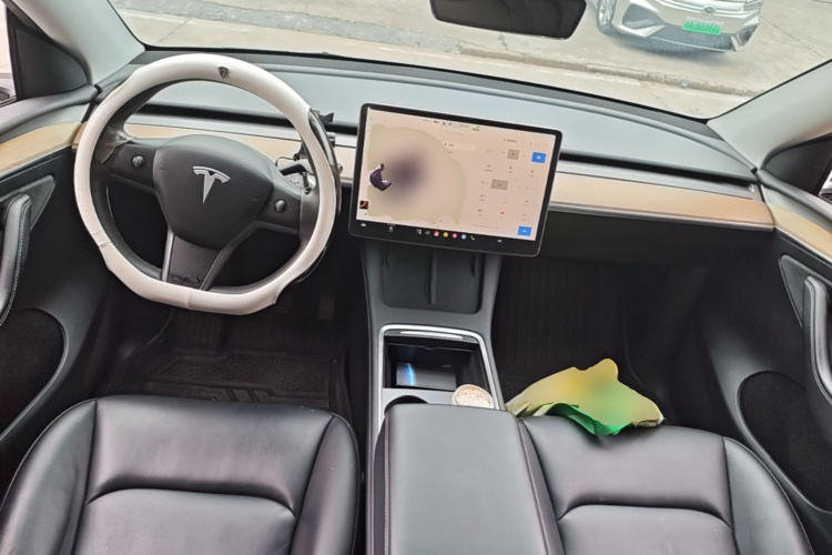 Tesla Model Y 2022 car image #10
