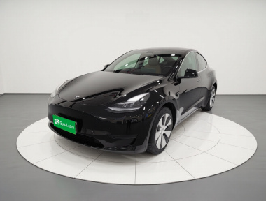 Tesla Model Y 2022 Tesla Model Y 2022 car image
