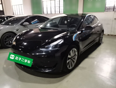Tesla Model 3 2022 Tesla Model 3 2022 car image