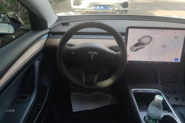 Tesla Model 3 2021 car image #12