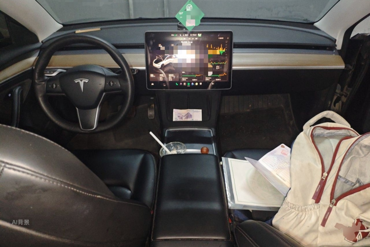 Tesla Model 3 2023 immagine di auto #11