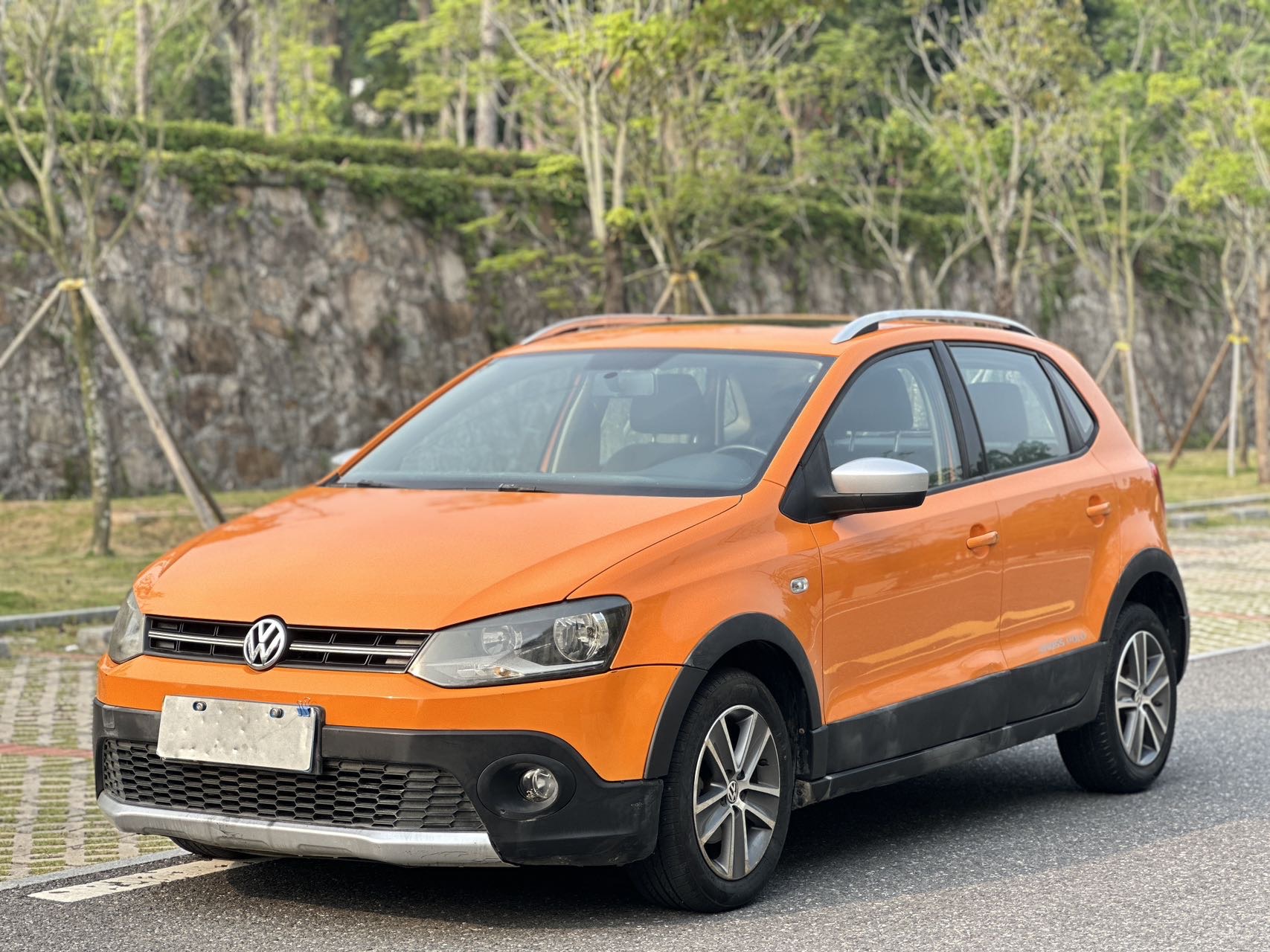 Volkswagen Polo 2014 car image 